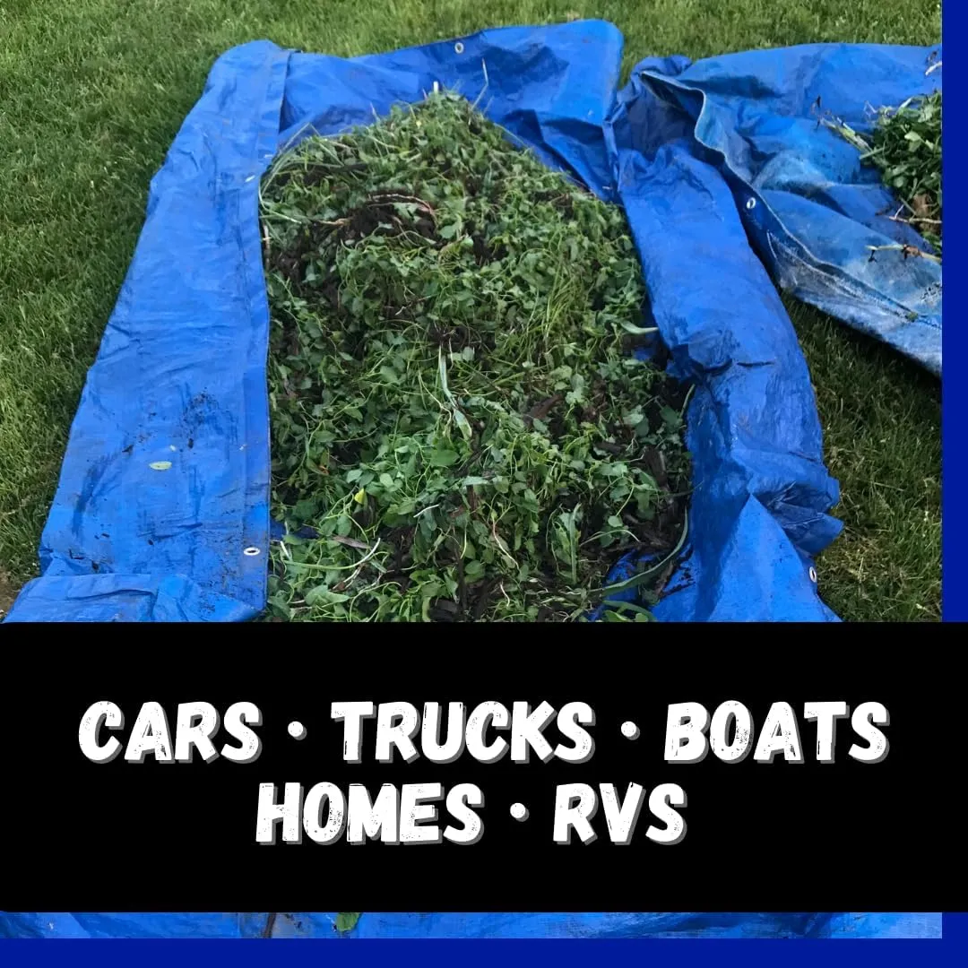 20' X 20' Blue Poly Tarp Cover | 5 Mil Thickness | 100% Waterproof, UV Resistant, Rip and Tear Proof Tarpaulin | Includes Grommets | Great for Outdoors & Protecting Valuables