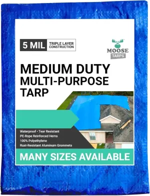 20' x 20' Waterproof Tarp, Medium Duty Reversible Blue/Silver, Multipurpose Indoor and Outdoor Tarps for Tents, Wood Cover, Furniture, Car, Boat, Pool, Tear Resistant, Blue