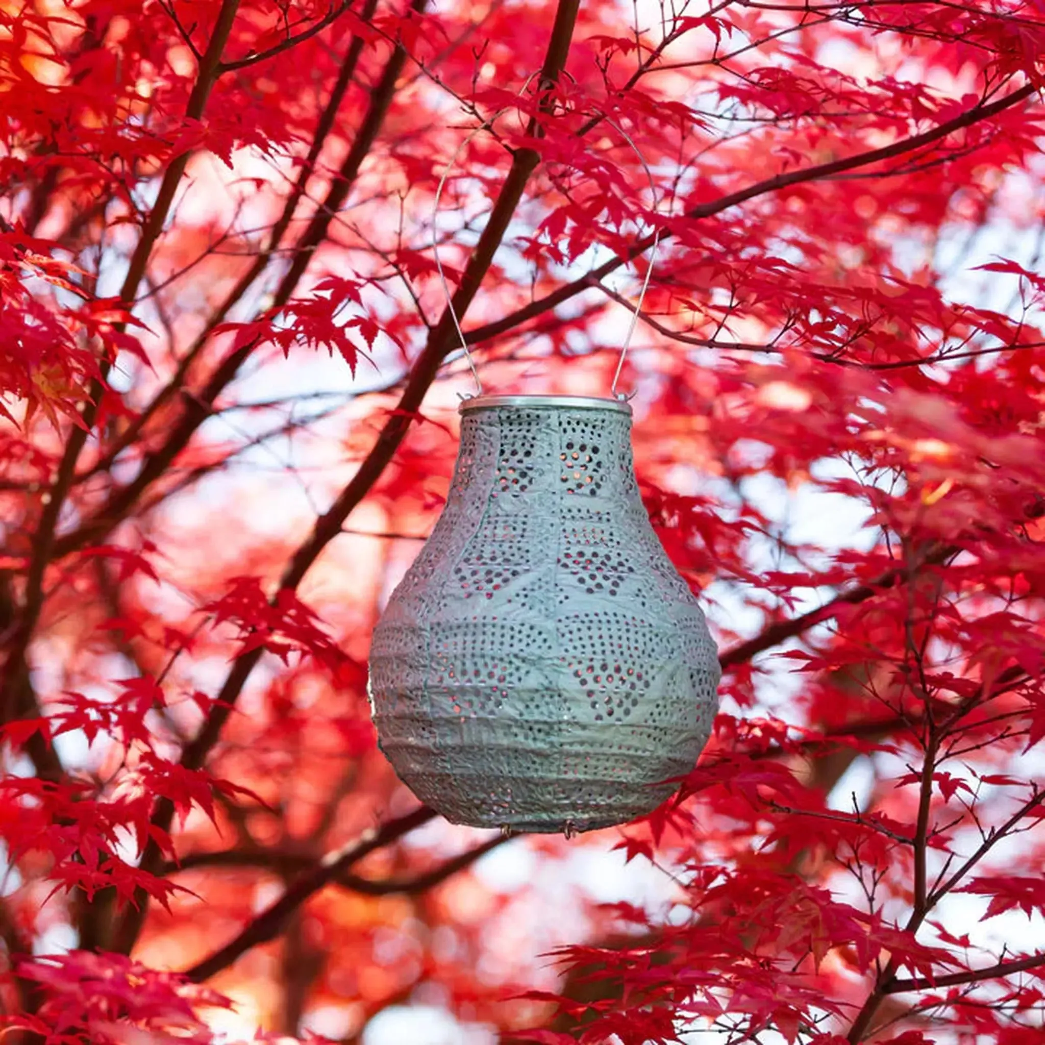 8" Bulb Solar Lantern