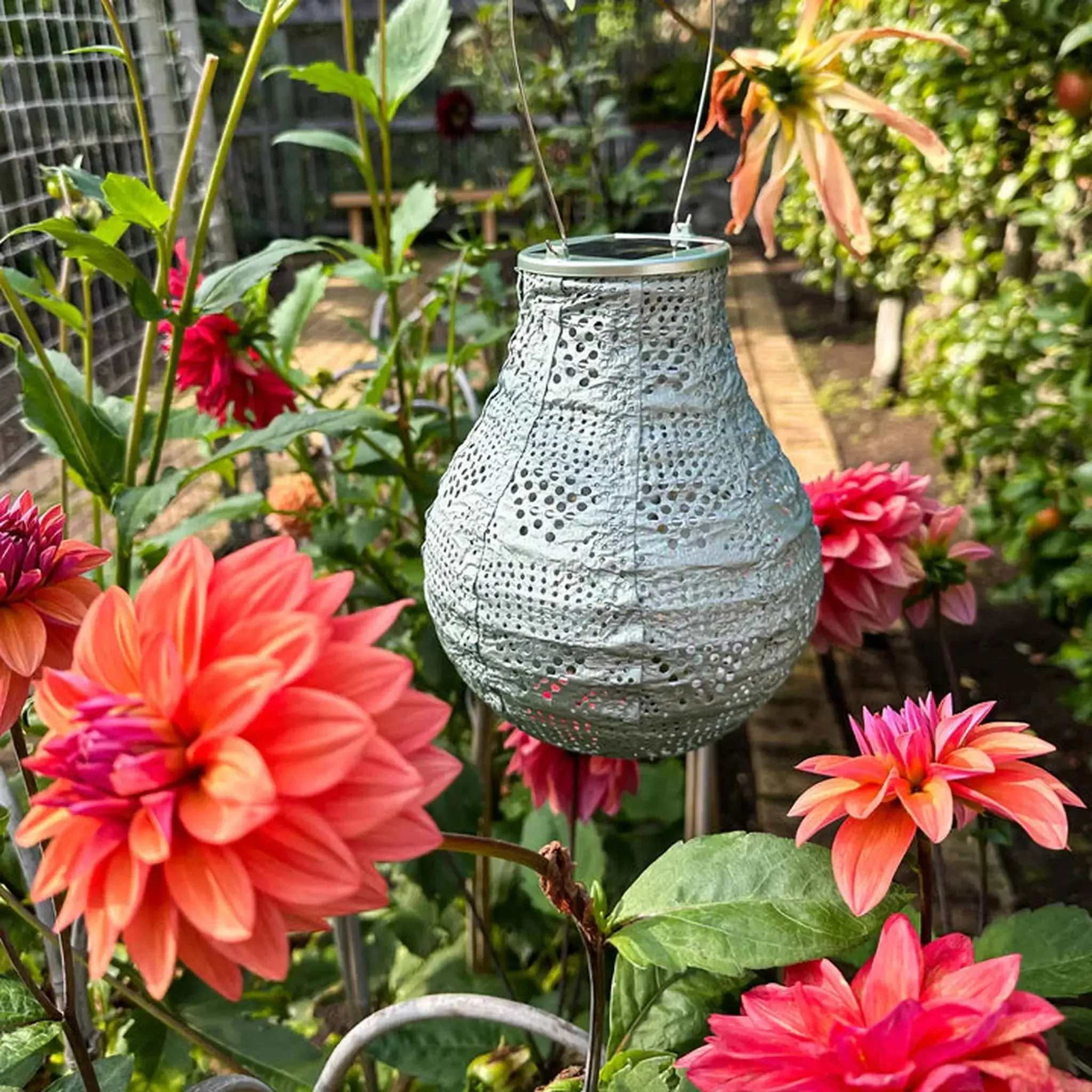 8" Bulb Solar Lantern