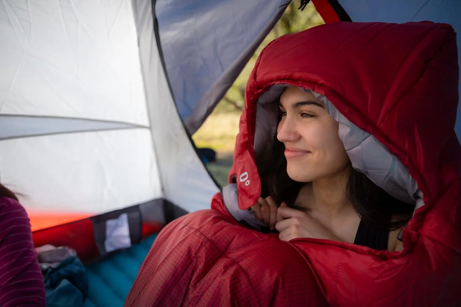 ALPS Mountaineering Vibe 0° Mummy Sleeping Bag