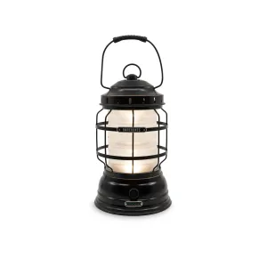 Barebones Living Forest Lantern