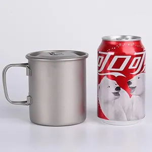 Camping Wood Stove, Portable Tent Stove, Wood Burning Stove for Heating, for Outdoor Cooking, Heating, Hiking, Travel