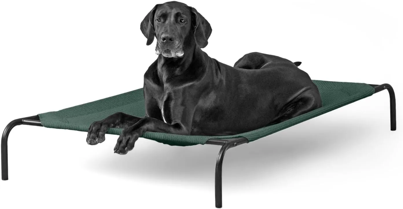 Coolaroo 474676 Original Elevated Pet Bed, Extra Large, Brunswick Green