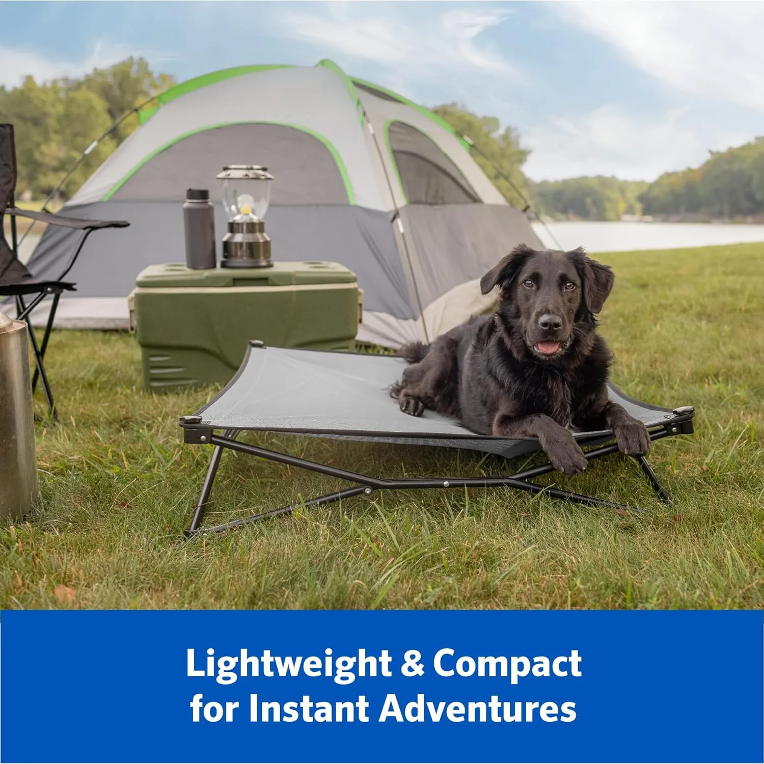 Coolaroo On-The-Go Elevated Dog Bed Kit – Portable & Cooling Travel Cot with HeatShield Fabric for Large Dogs, Lightweight & Compact, Includes Matching Carry Bag & Everglade Green Bonus Cover, Large
