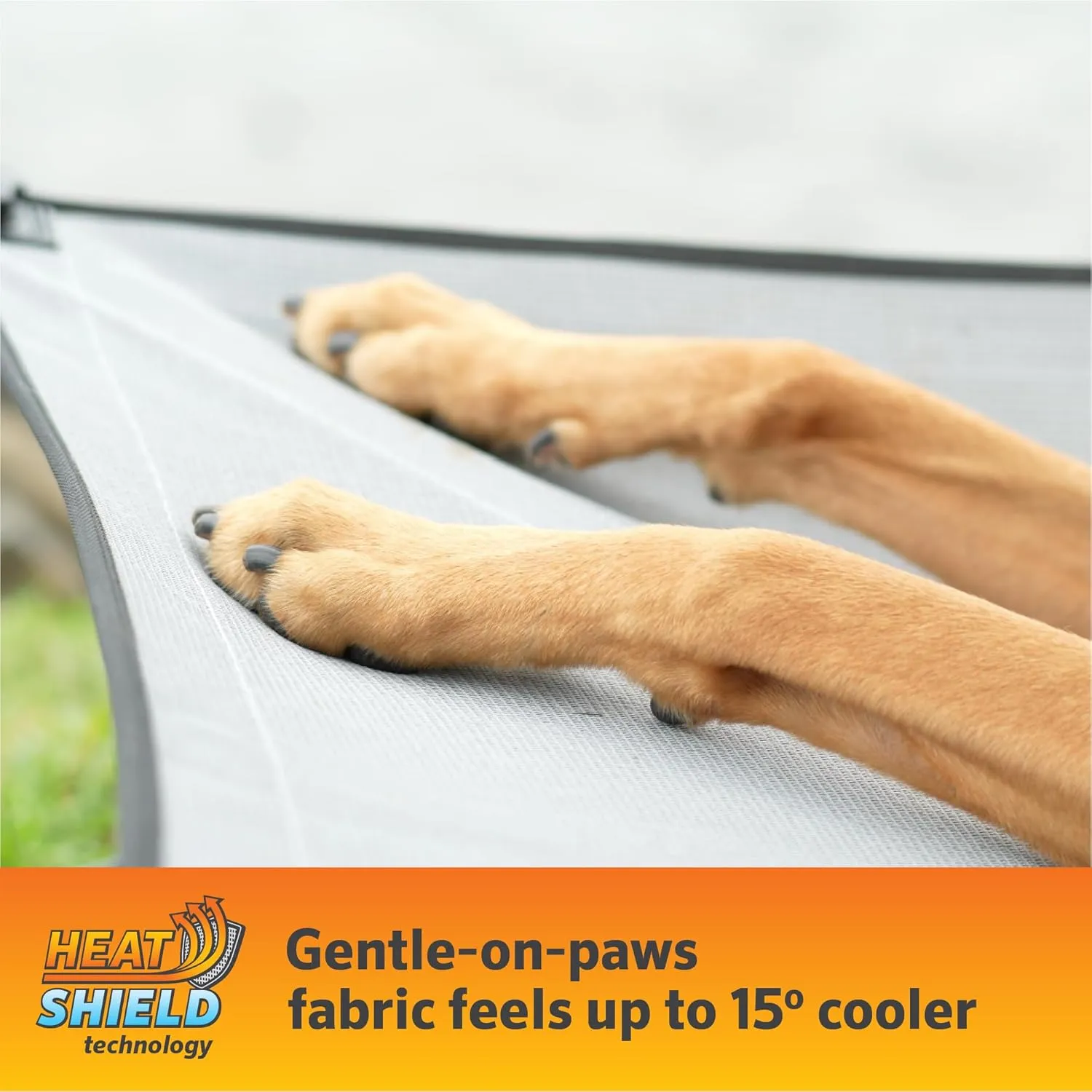 Coolaroo On-The-Go Elevated Dog Bed Kit – Portable & Cooling Travel Cot with HeatShield Fabric for Large Dogs, Lightweight & Compact, Includes Matching Carry Bag & Everglade Green Bonus Cover, Large