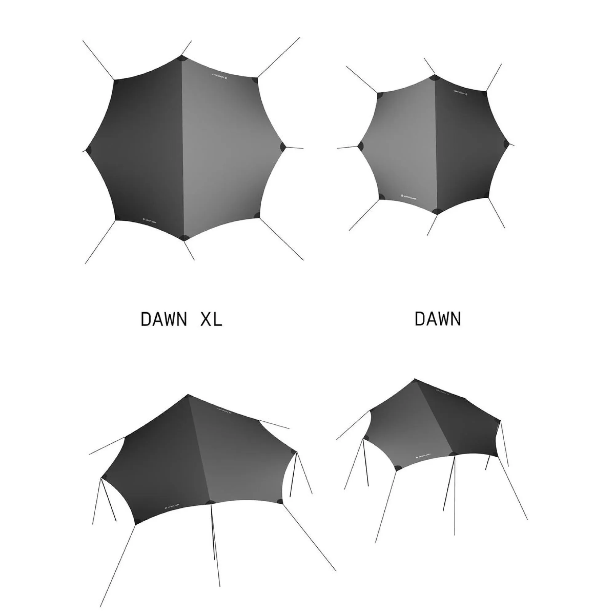 Dawn XL