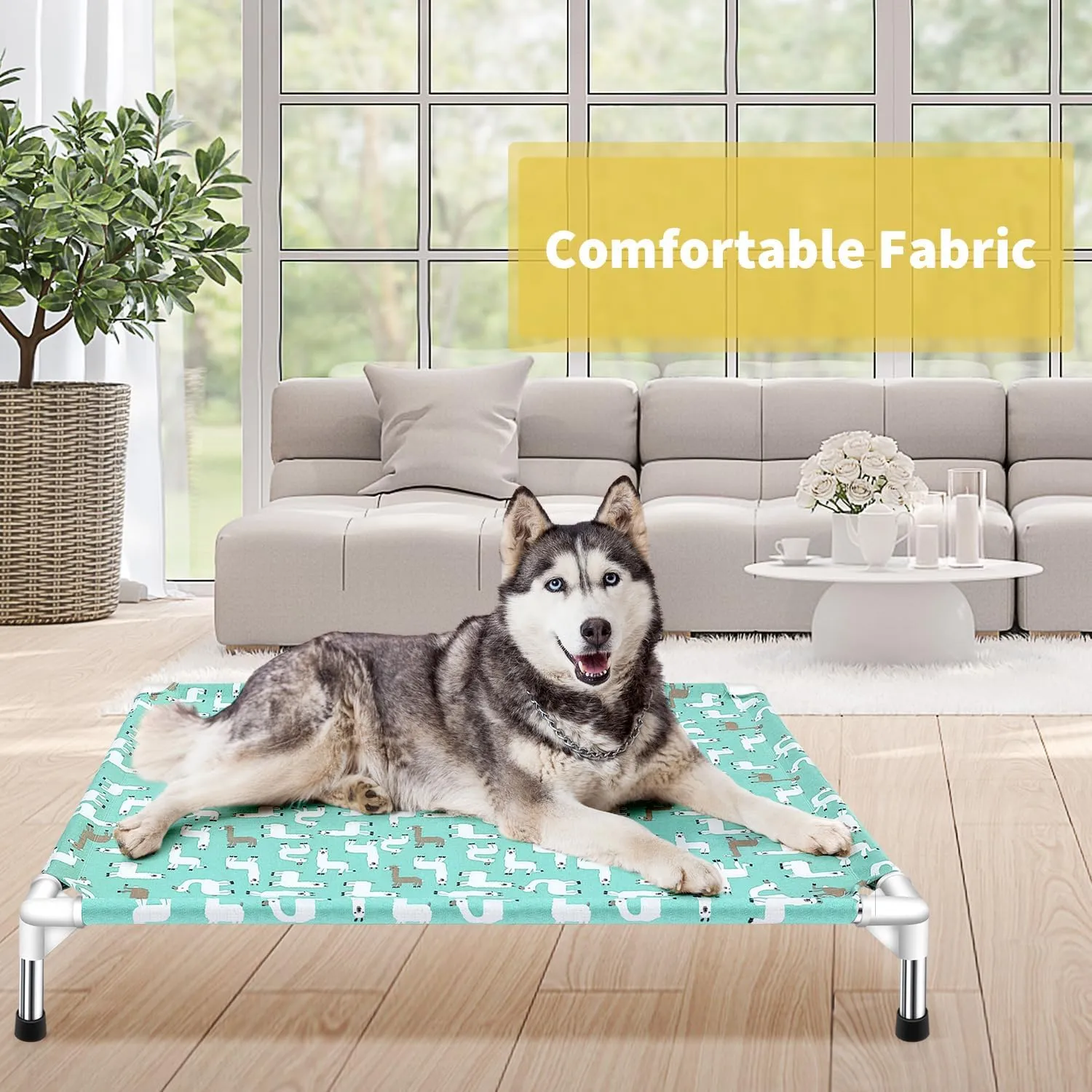 Elevated Dog Bed Pet cot for Large Dogs, Indoor and Outdoor Use for Large Pets