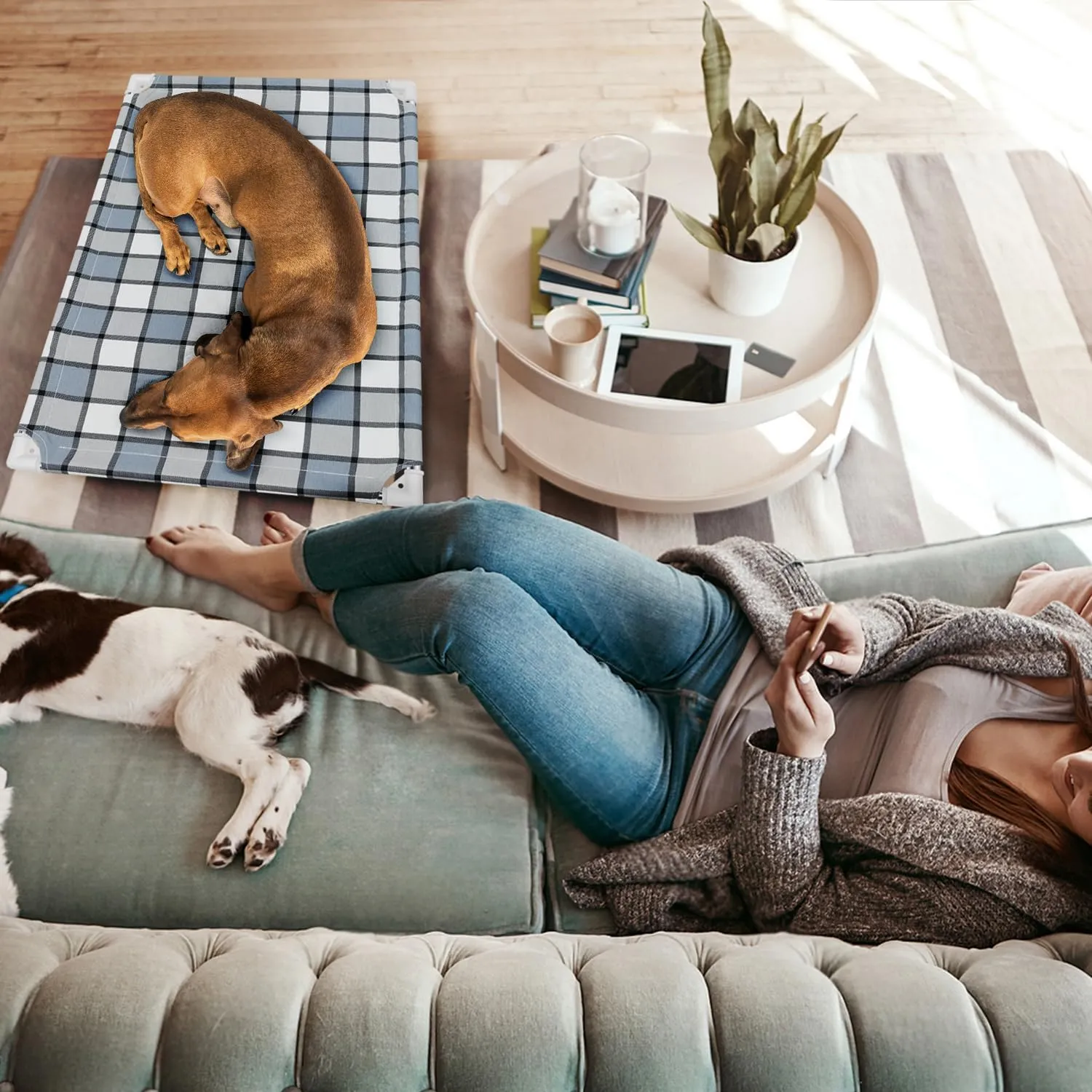Elevated Outdoor Raised Dog Bed Outdoor Dogs Bed Lifted Pet Bed Dog Cot for Medium Pet Taste Life, Start with A Pet Bed 34'' x 26'' x 5''