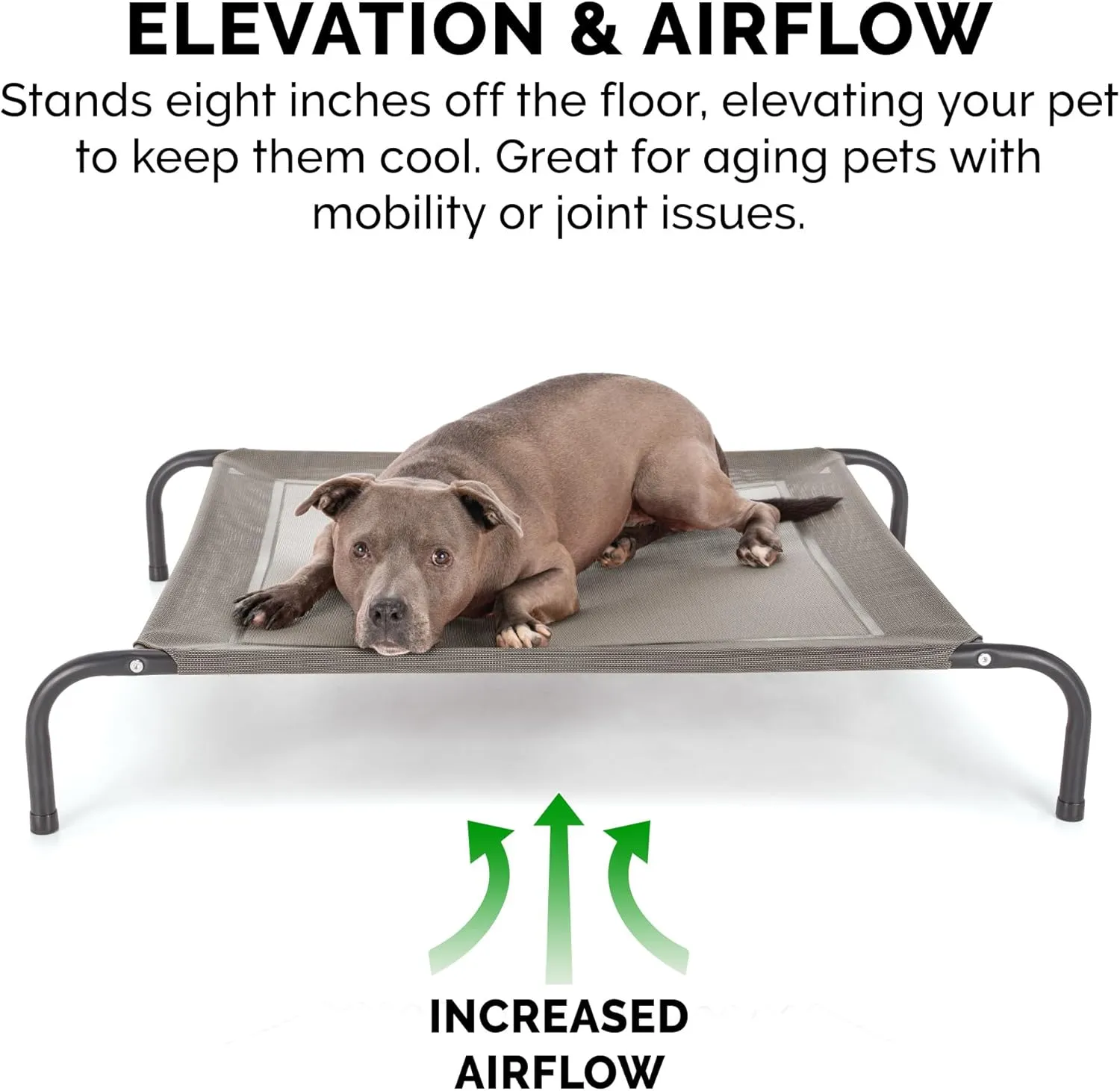 FurHaven Elevated Pet Cots - Cooling & Breathable Nylon Mesh Hammock for Small Dogs & Cats/Easy-to-Assemble / / Durable and Reinforced/Perfect for Rest & Relaxation Outdoors - Graphite Gray, Small