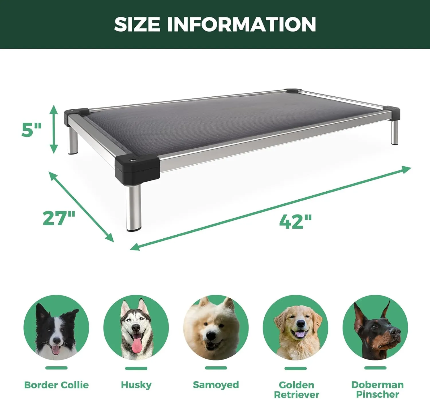 FXW TitanNest Chew-Proof Elevated Dog Bed, Padded Cot for Outdoor/Camping/Indoor Use, Durable & Washable Pet Bed for Medium and Large Dogs, 42-Inch, Grey