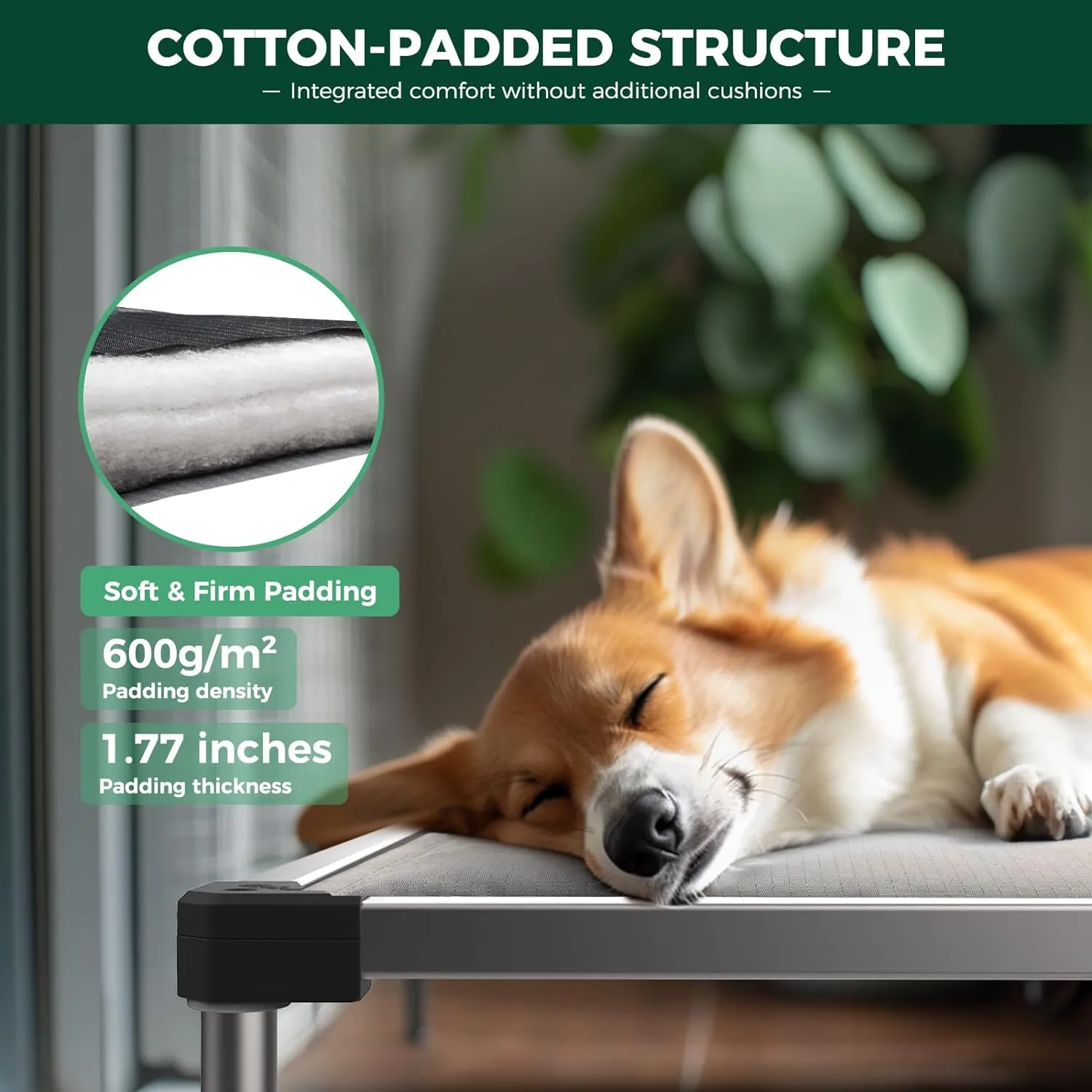 FXW TitanNest Chew-Proof Elevated Dog Bed, Padded Cot for Outdoor/Camping/Indoor Use, Durable & Washable Pet Bed for Medium and Large Dogs, 42-Inch, Grey