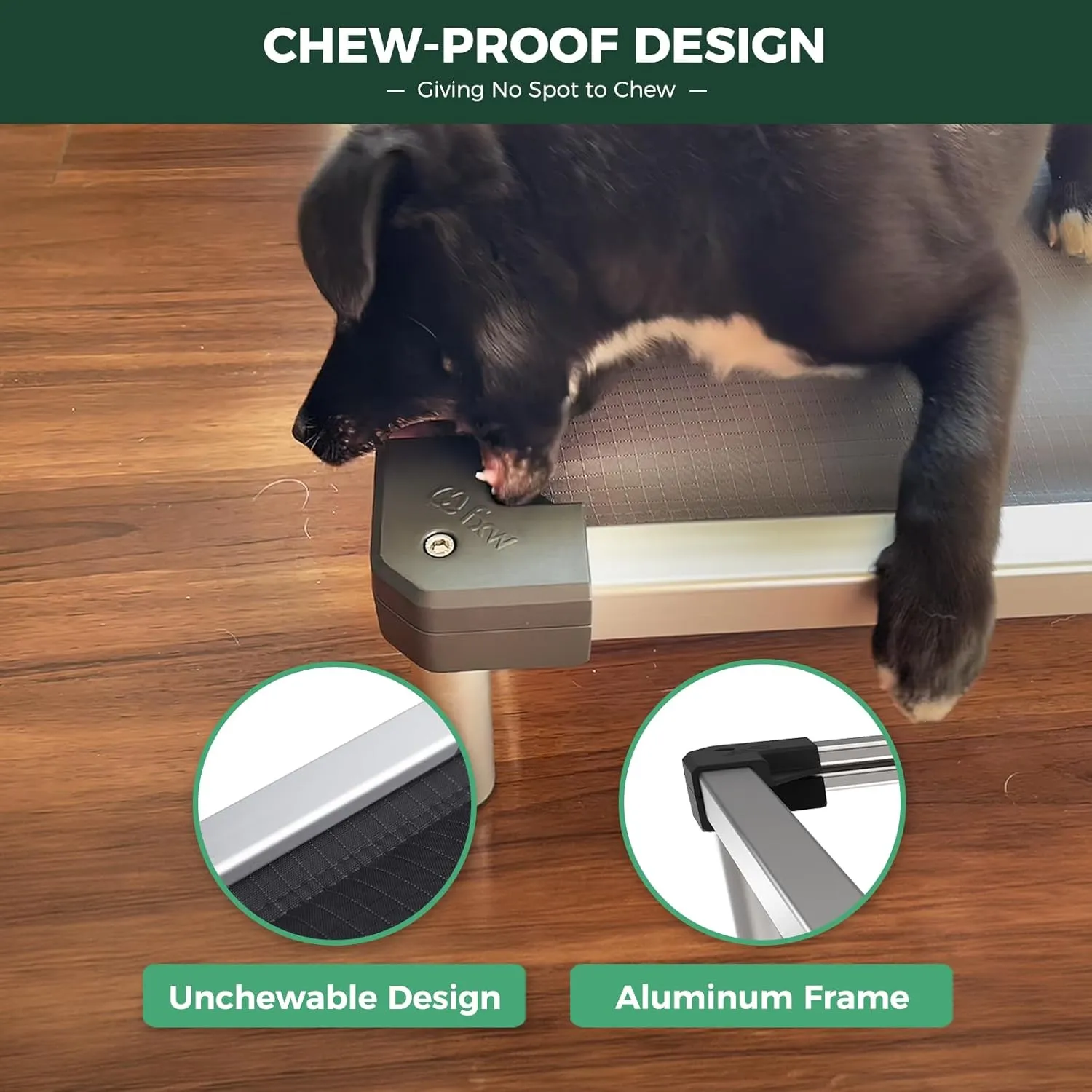 FXW TitanNest Chew-Proof Elevated Dog Bed, Padded Cot for Outdoor/Camping/Indoor Use, Durable & Washable Pet Bed for Medium and Large Dogs, 42-Inch, Grey