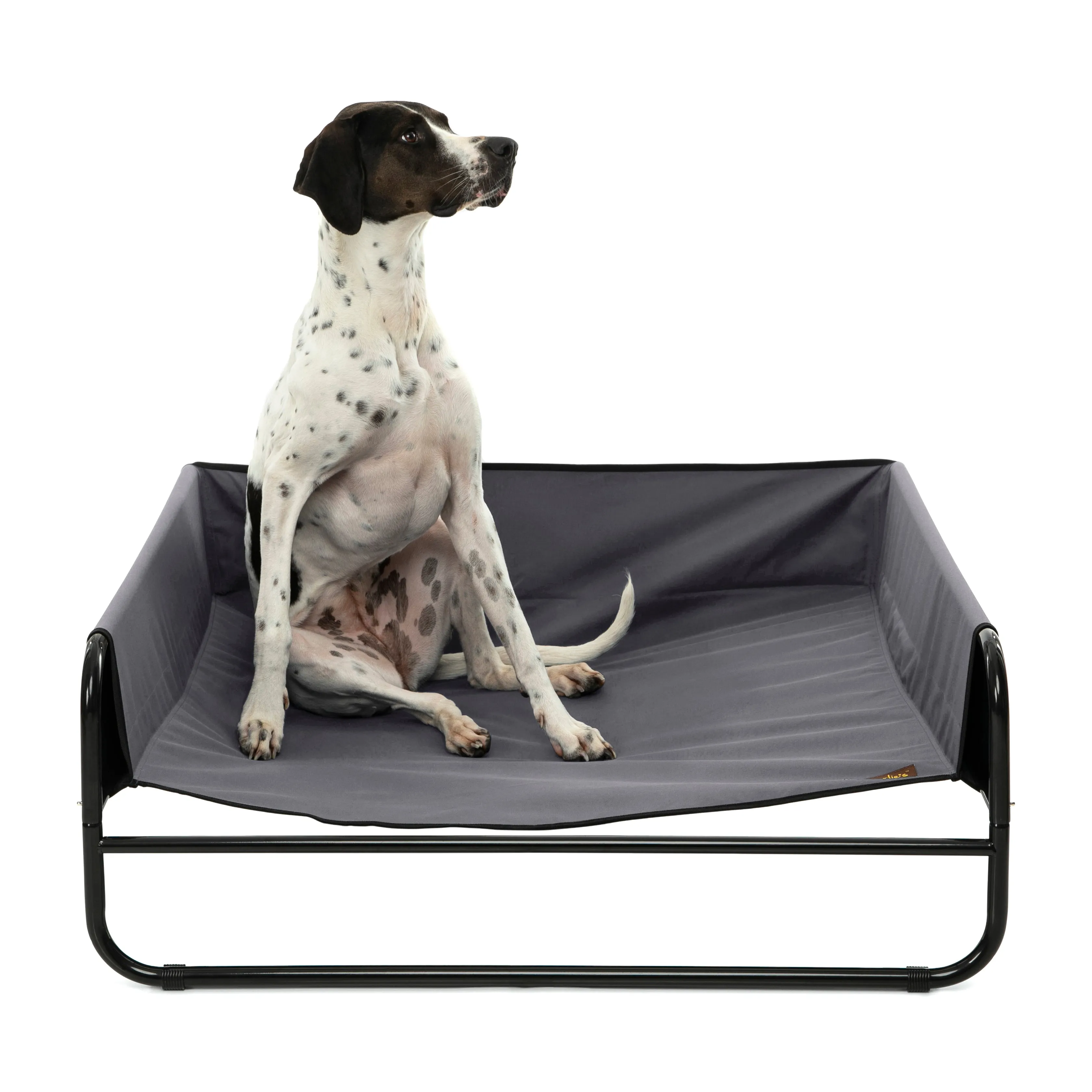 High Walled Outdoor Trampoline Pet Bed Cot - Grey
