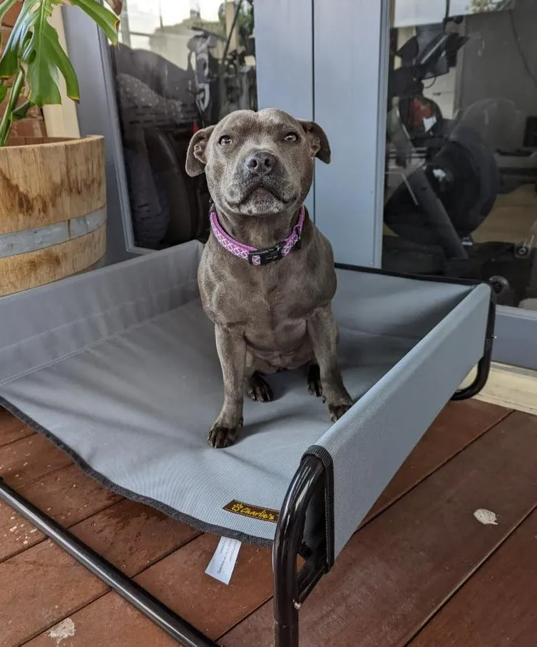 High Walled Outdoor Trampoline Pet Bed Cot - Grey