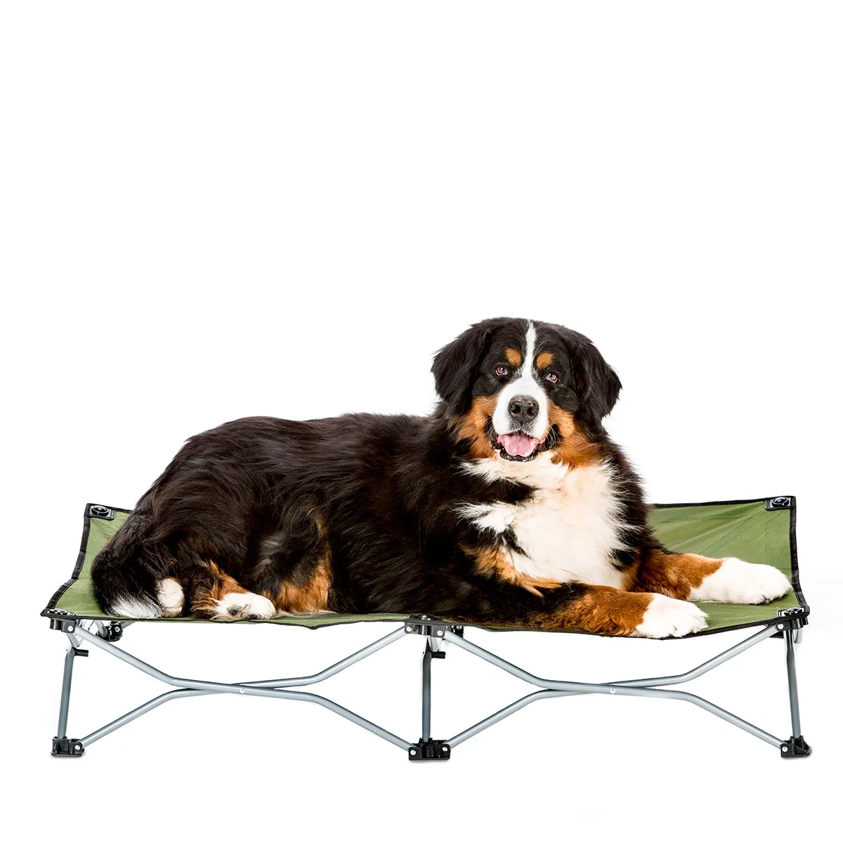 Large Portable Pup Pet Bed - Green