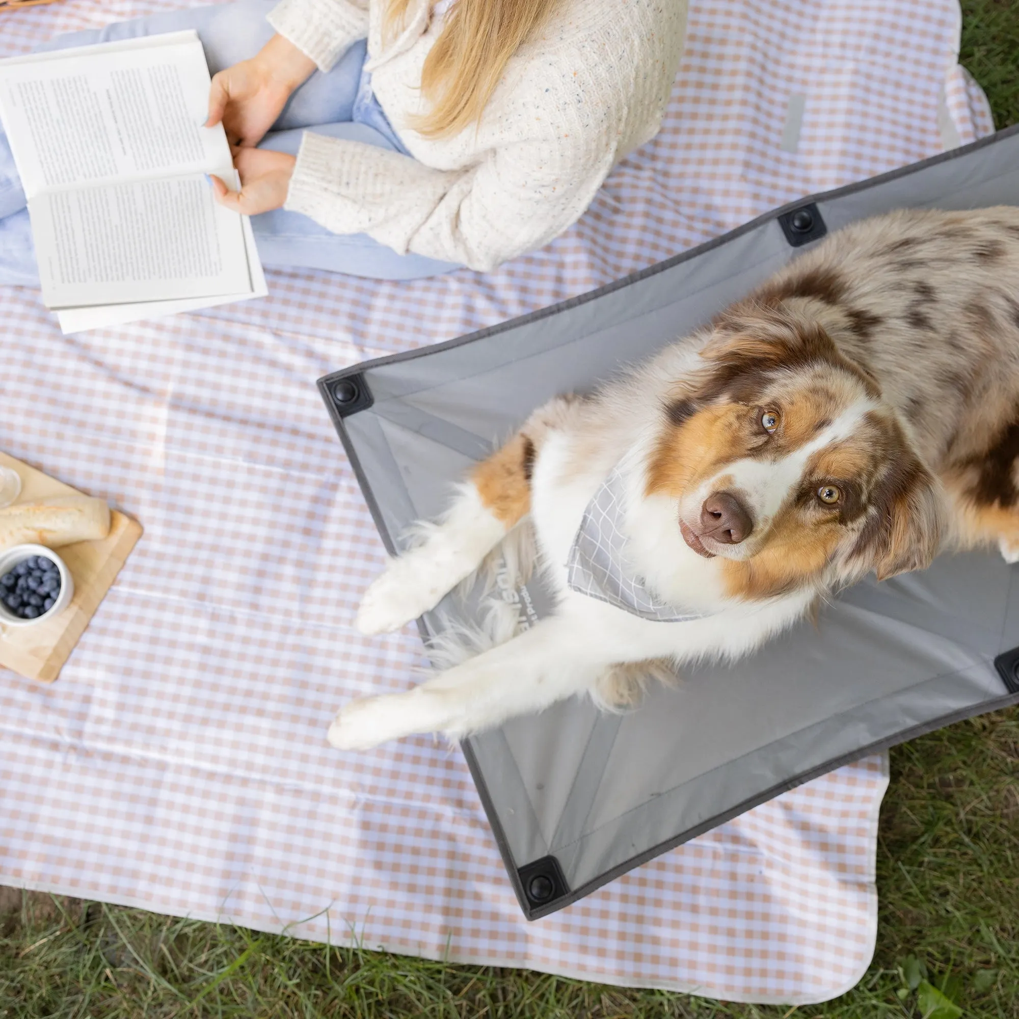 Large Portable Pup Pet Bed