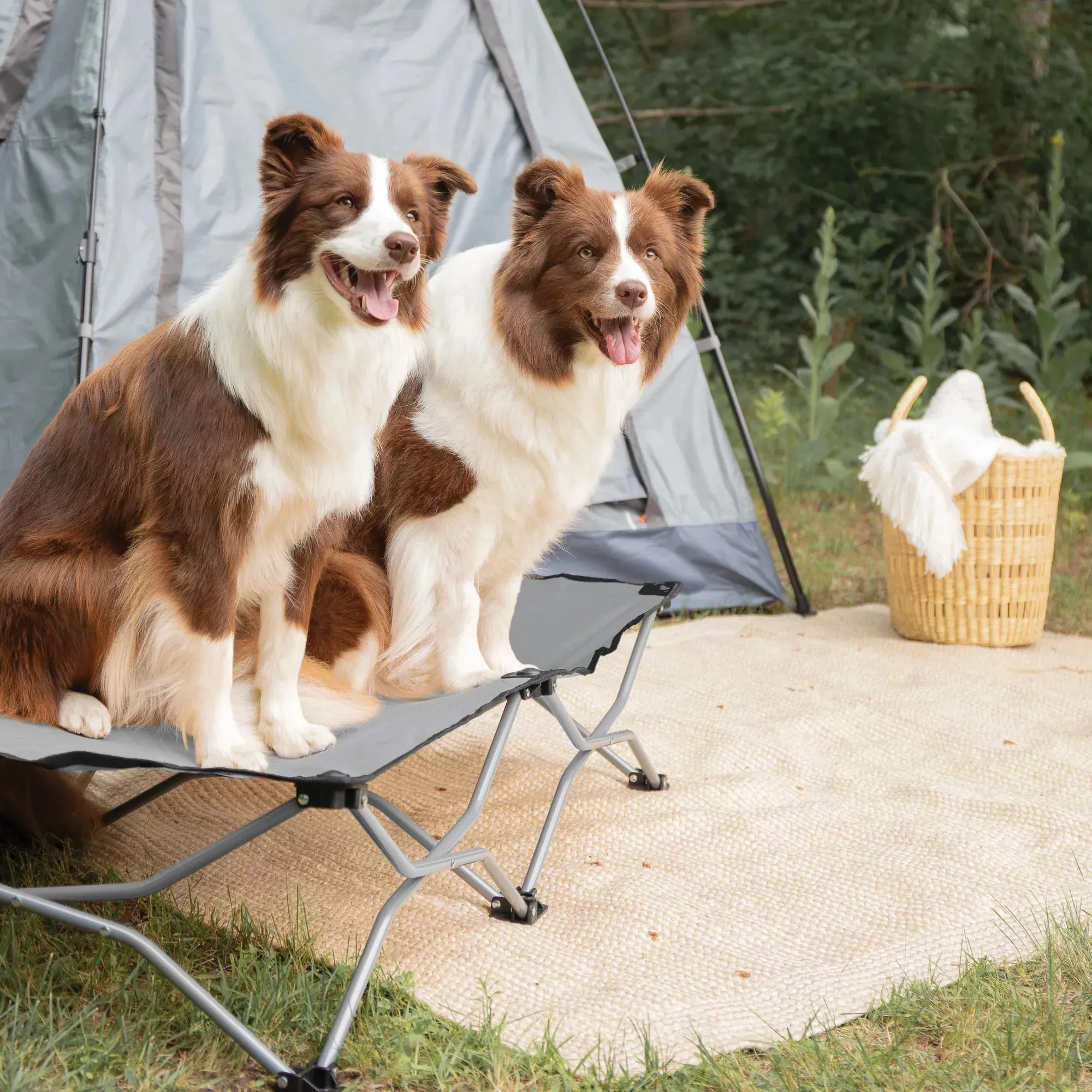 Large Portable Pup Pet Bed