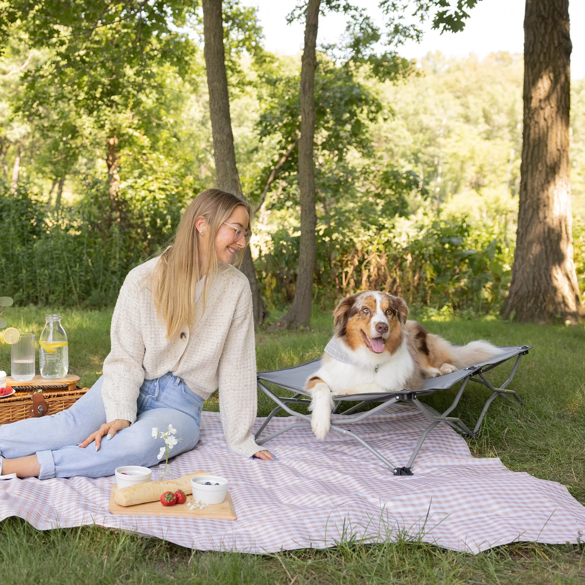 Large Portable Pup Pet Bed
