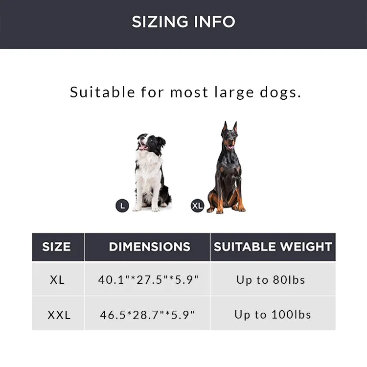 Large Raised Dog Bed with Pillow