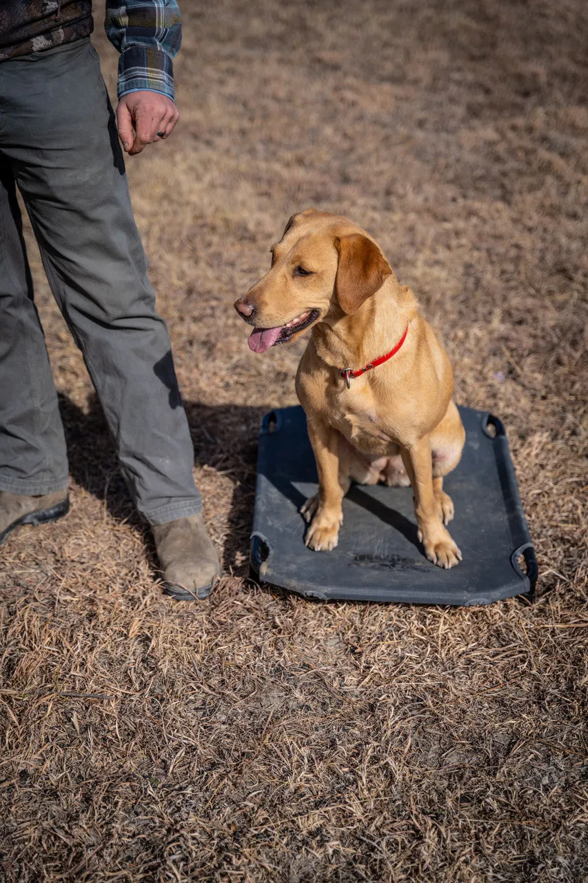 Lucky Duck Kennel Cot