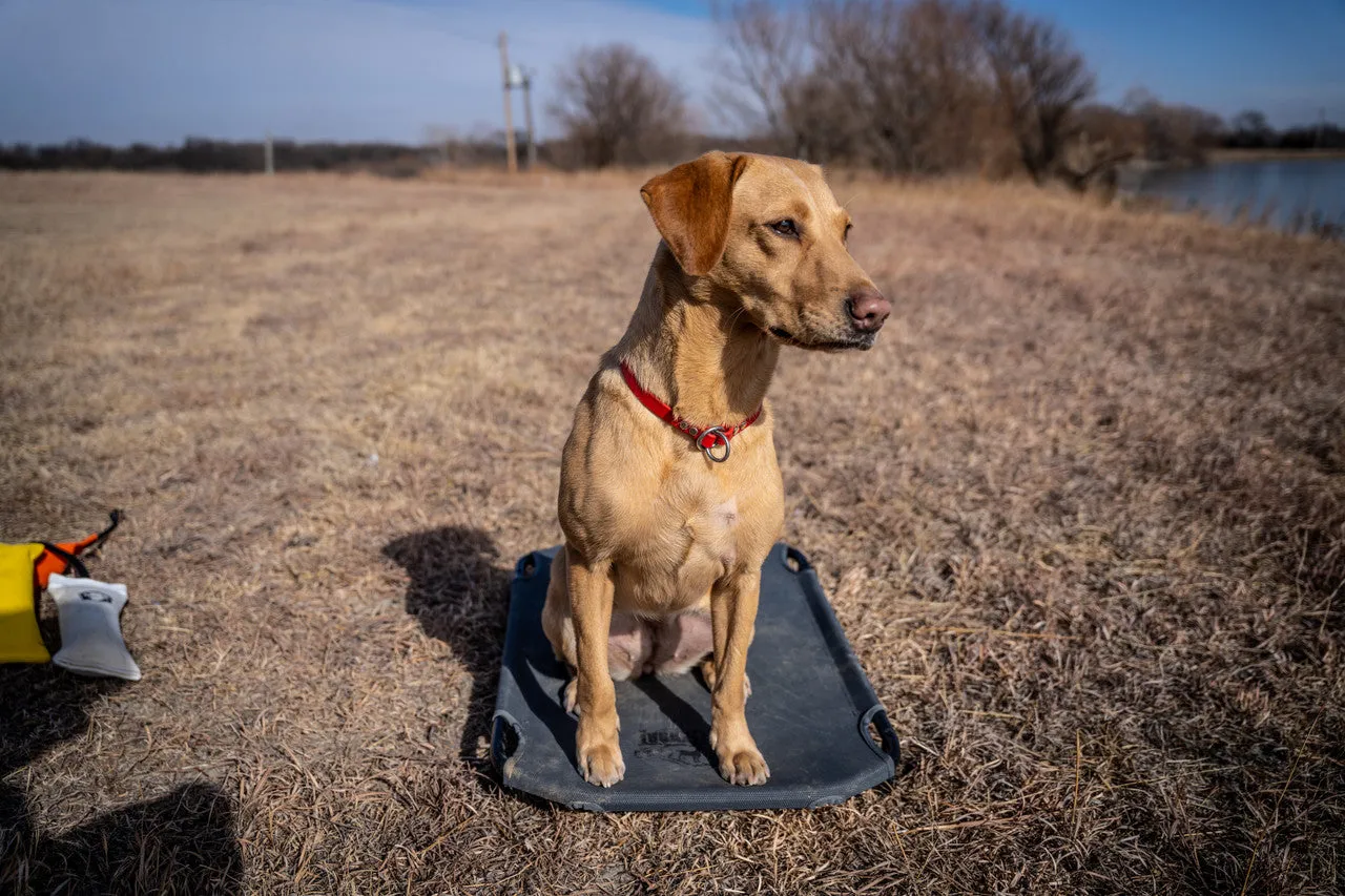 Lucky Duck Kennel Cot