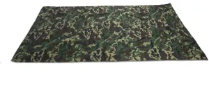 Outdoor Portable Lightweight Rainproof Mat RainTent Tarp Shelter, Great Accessory for Camping or Outdoor Activities enthusiasts. (3 * 2.9 meters)