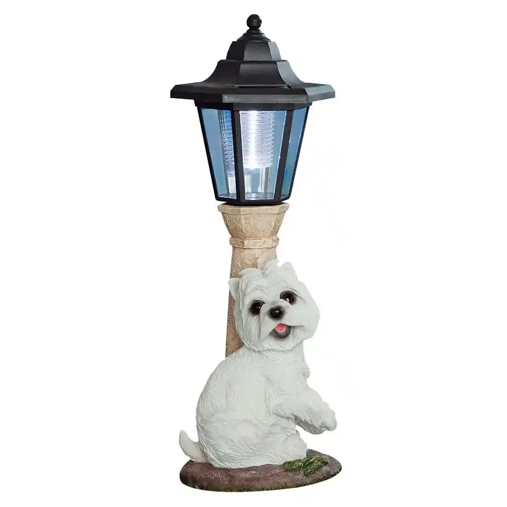 Solar Lantern