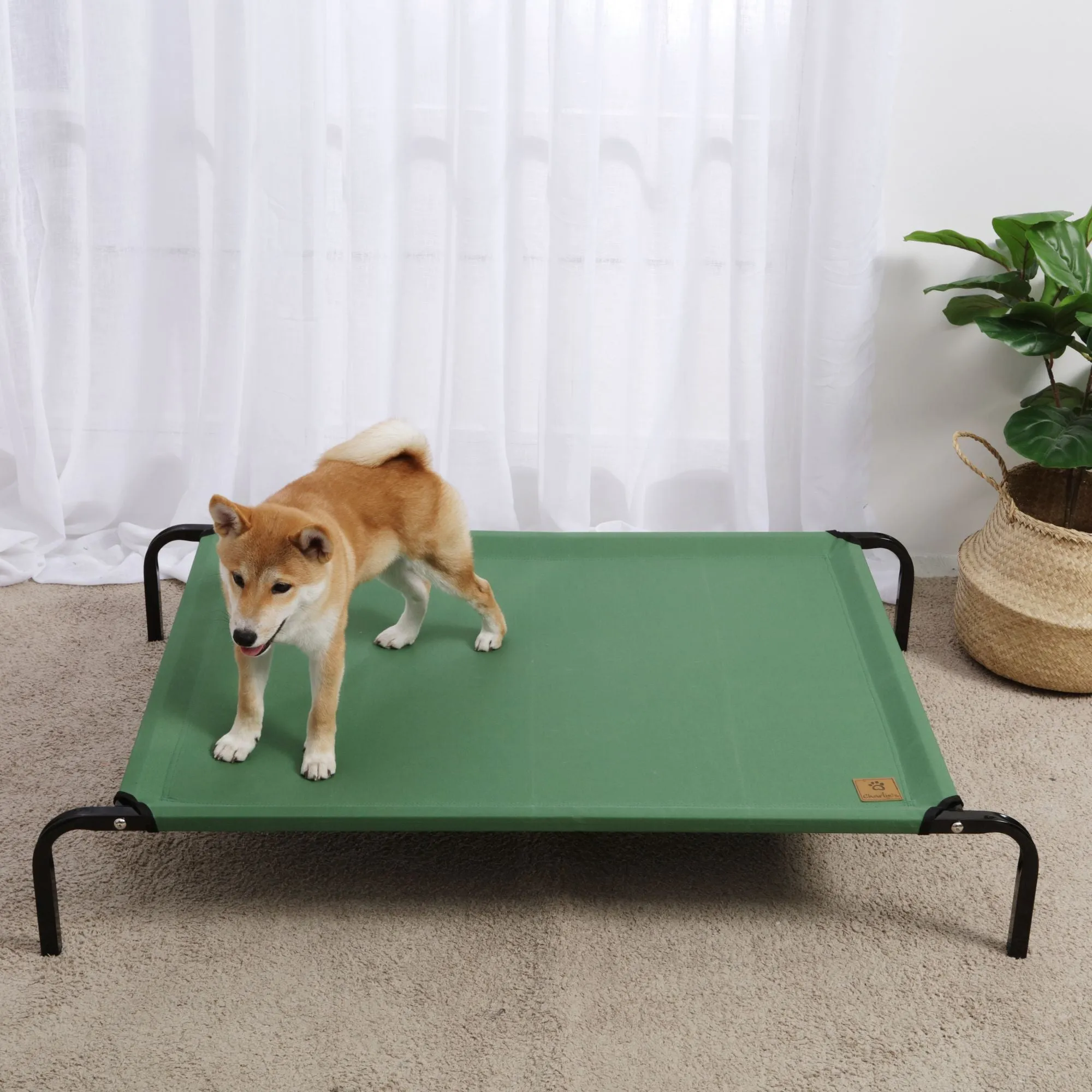 Trampoline Hammock Bed - Green