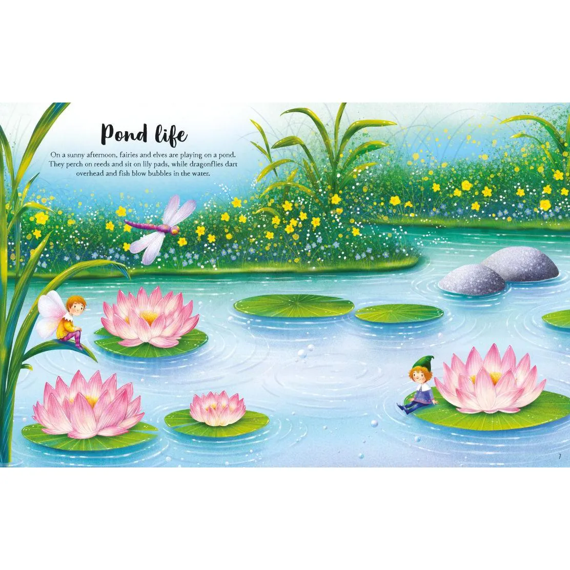 Usborne Fairies, Pixies and Elves Sticker Book