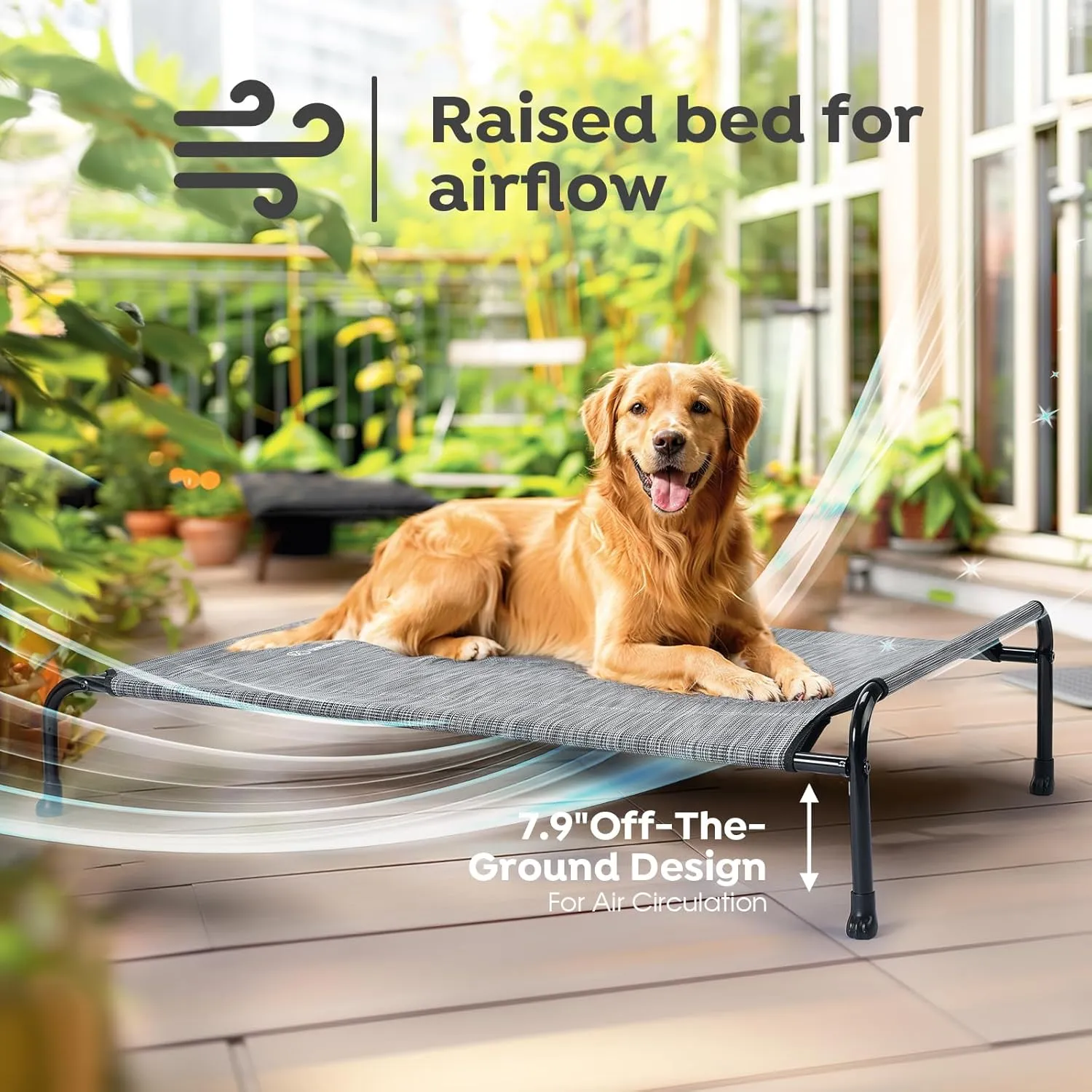 Veehoo Original Elevated Dog Bed - Outdoor Raised Dog Cot Bed for Small Dogs, One-Sided Raised Headboard Cooling Pet Bed, Dog Sleeping Training Cot, Non-Slip & Breathable, M, CWC2417A, Black Silver