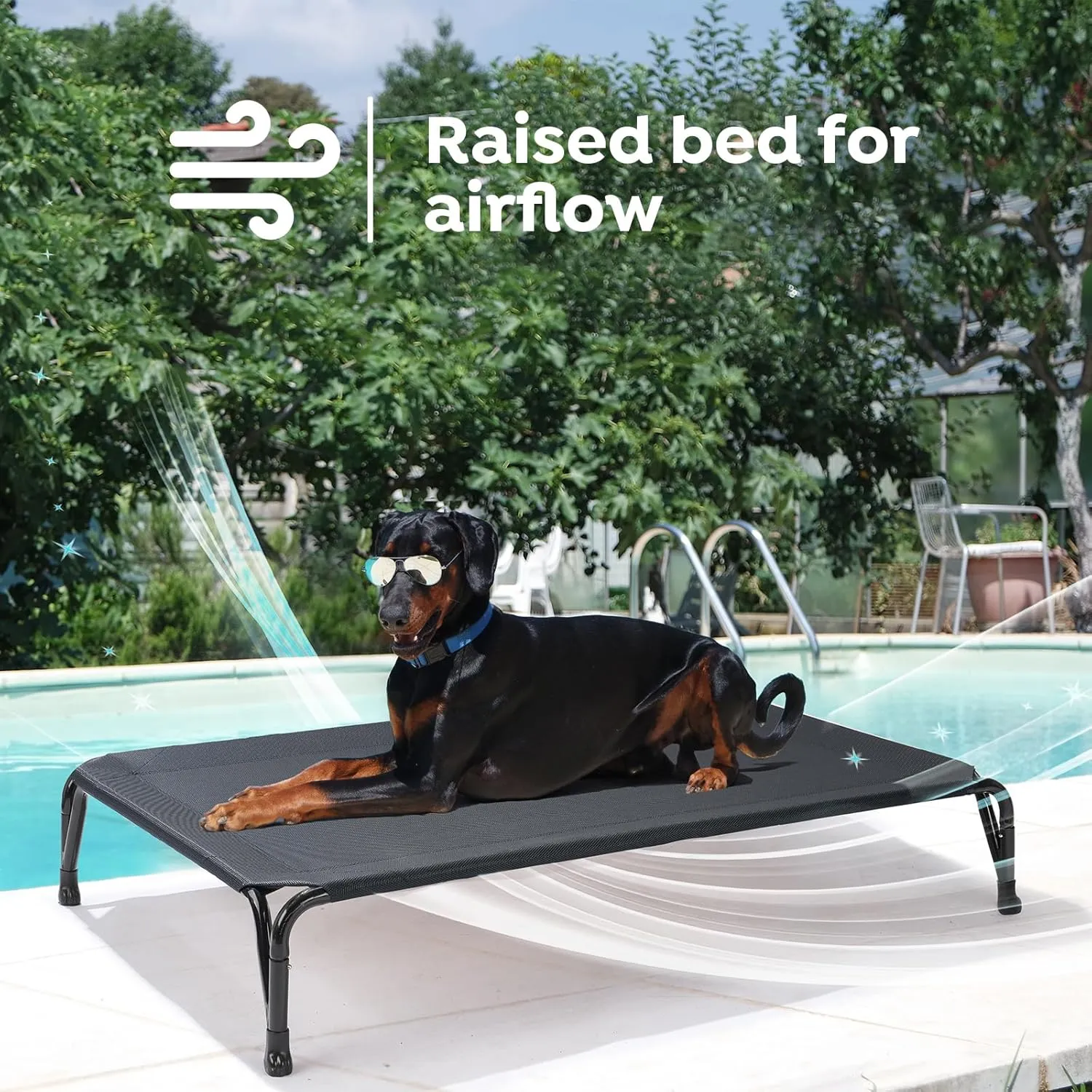 Veehoo Outdoor Elevated Dog Bed - Cooling Pet Cot, Off Ground, Durable Breathable Hammock for Outside Training, M, CWC2405BCP