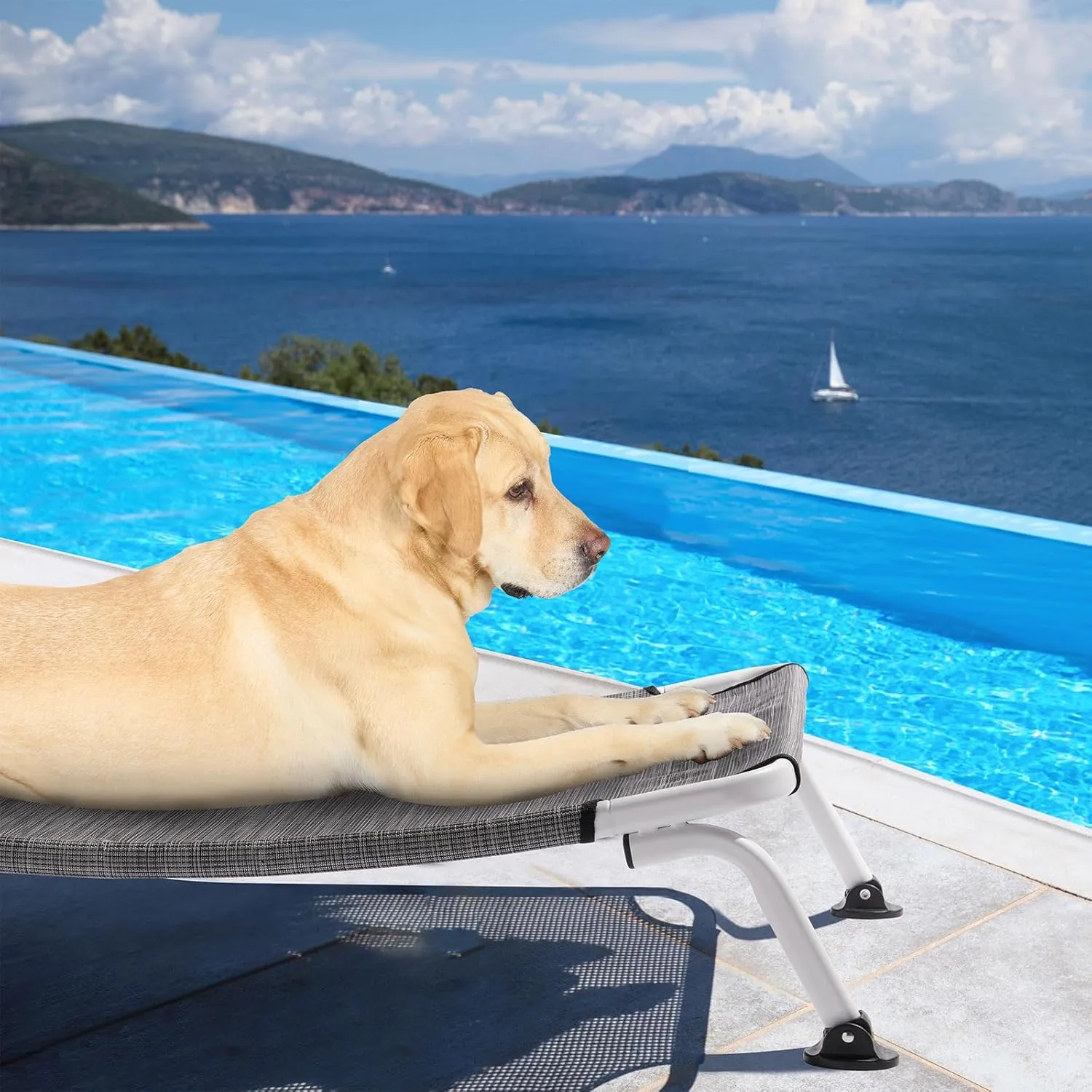 Veehoo Outdoor Elevated Dog Cot, Curved Raised Cooling Dog Cots Bed Off Ground Portable Lifted Pet Hammock Bed Cot with Breathable Teslin Mesh for Indoor Outdoor, up to 85lbs, Black Silver 42"