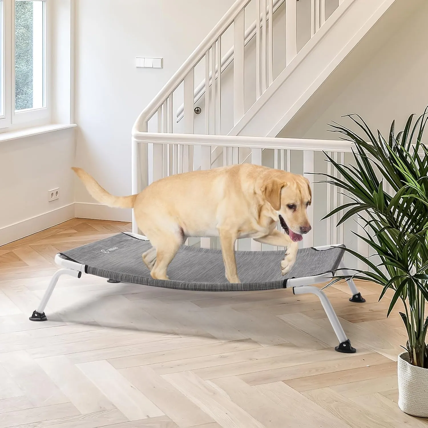 Veehoo Outdoor Elevated Dog Cot, Curved Raised Cooling Dog Cots Bed Off Ground Portable Lifted Pet Hammock Bed Cot with Breathable Teslin Mesh for Indoor Outdoor, up to 85lbs, Black Silver 42"